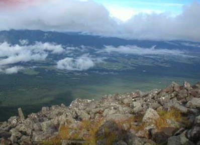 �Ҋ}����x�m������